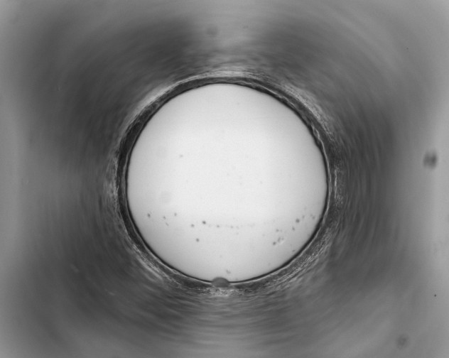 X0000103461452200810031447