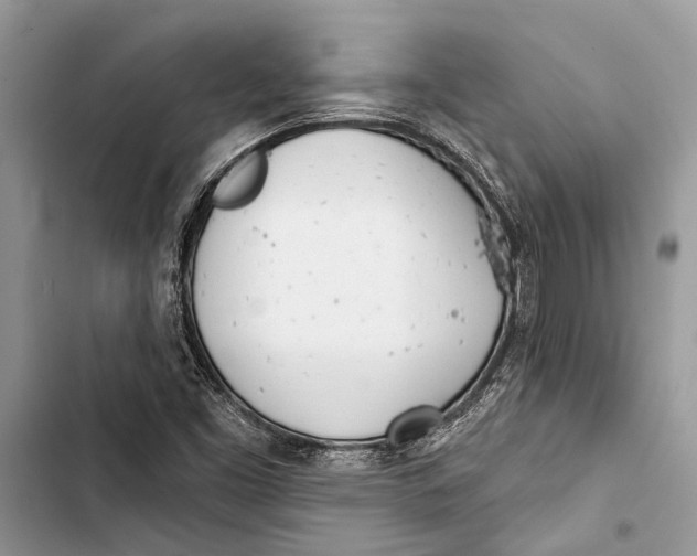 X0000103461453200810031447