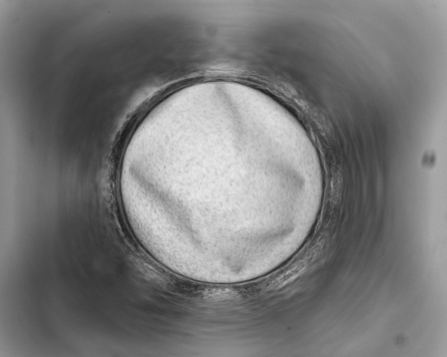 X0000103461454200810031447