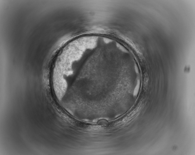 X0000103461455200810031447