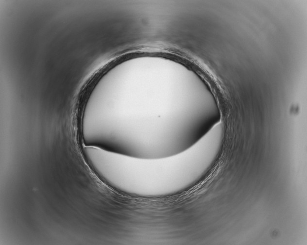 X0000103461456200810031447