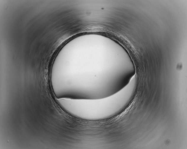 X0000103461457200810031447