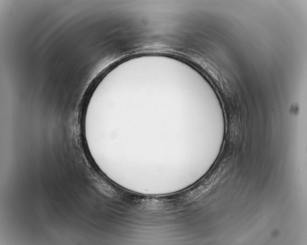 X0000103461458200810031447