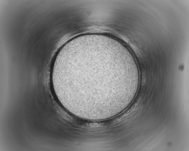 X0000103461459200810031447