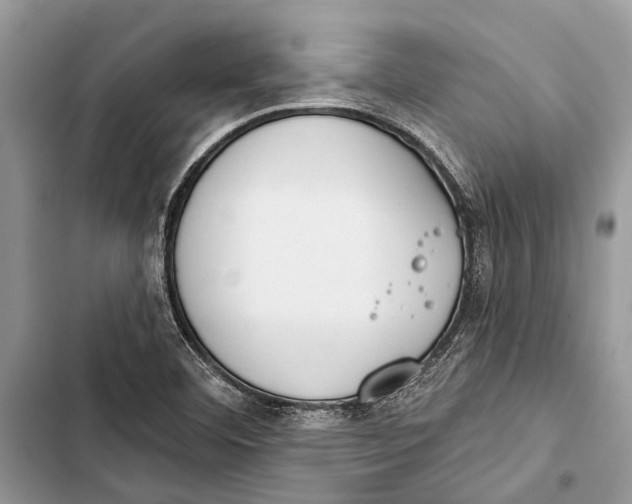 X0000103461460200810031447