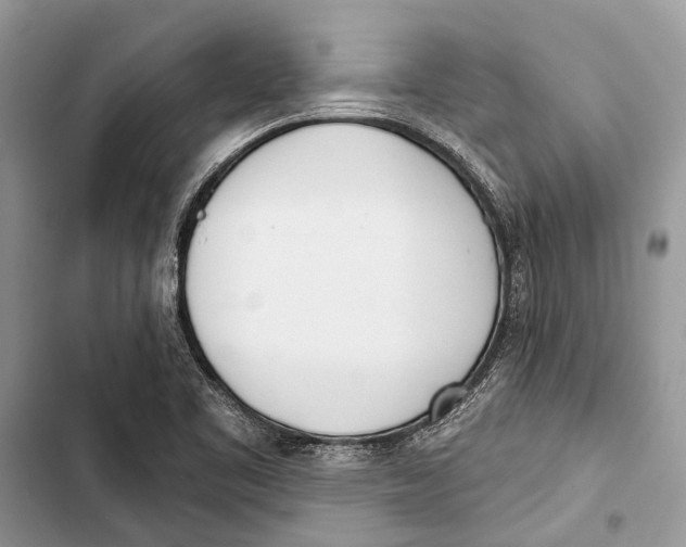 X0000103461461200810031447