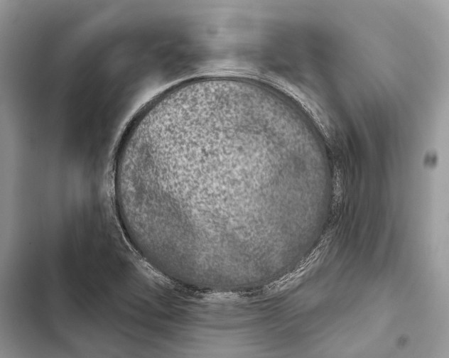 X0000103461462200810031447