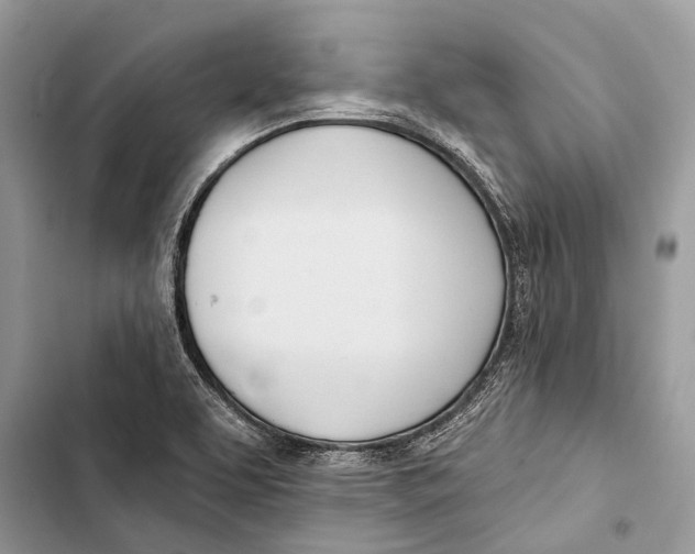 X0000103461463200810031447