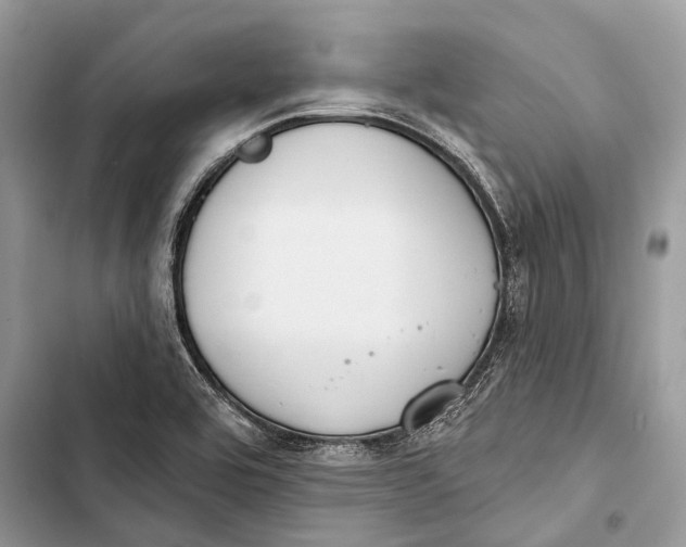 X0000103461464200810031447