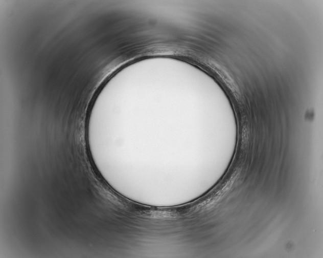 X0000103461465200810031447