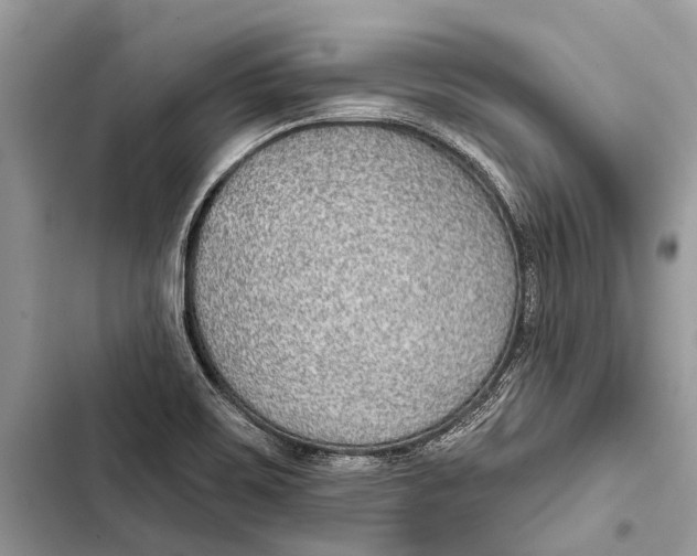 X0000103461467200810031447