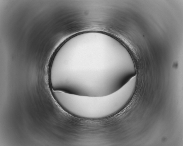 X0000103461468200810031447