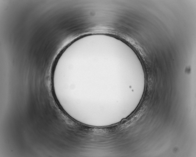 X0000103461469200810031447