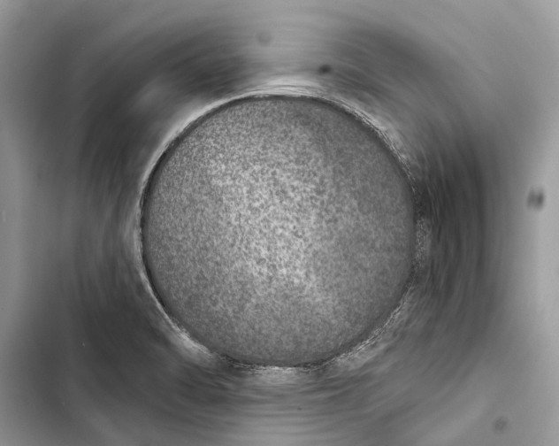 X0000103461470200810031447