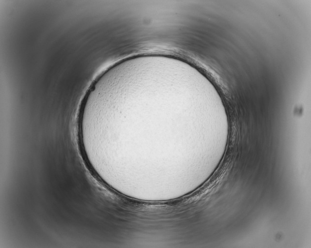 X0000103461471200810031447