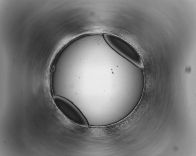 X0000103461472200810031447