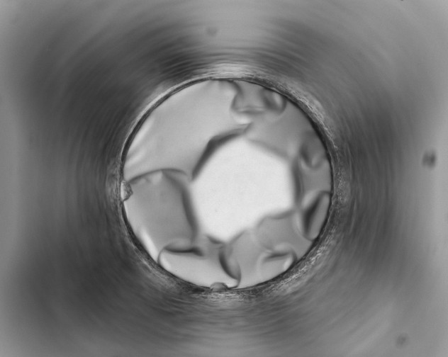 X0000103461473200810031447