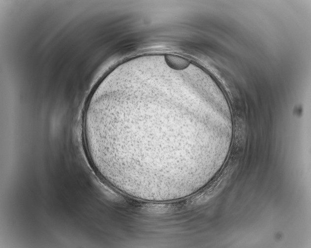 X0000103461474200810031447