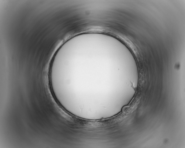 X0000103461475200810031447