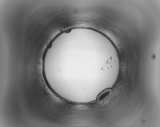 X0000103461476200810031447