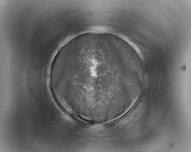 X0000103461477200810031447