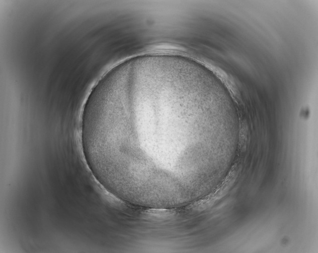 X0000103461478200810031447