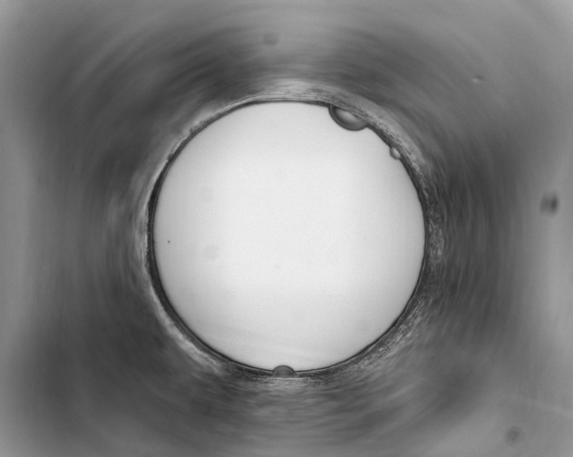 X0000103461479200810031447