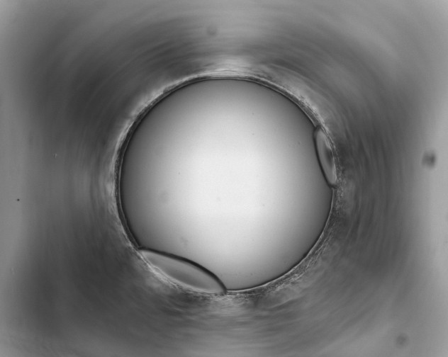 X0000103461480200810031447