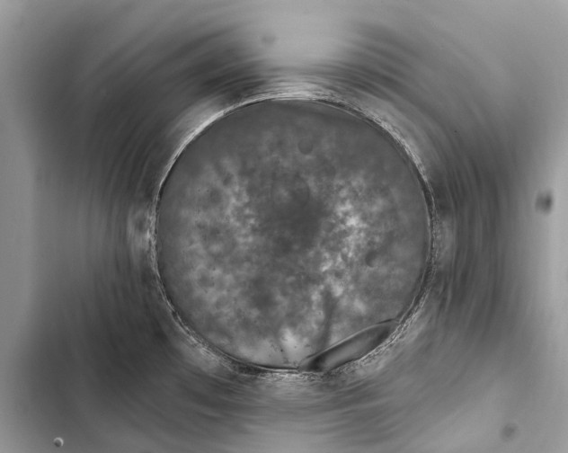 X0000103461481200810031447