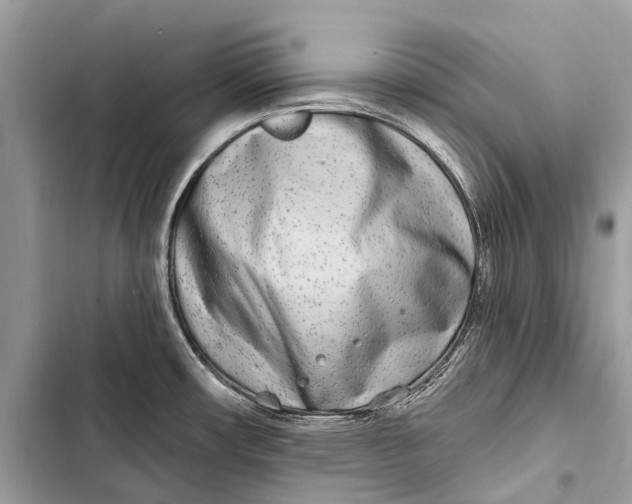 X0000103461482200810031447