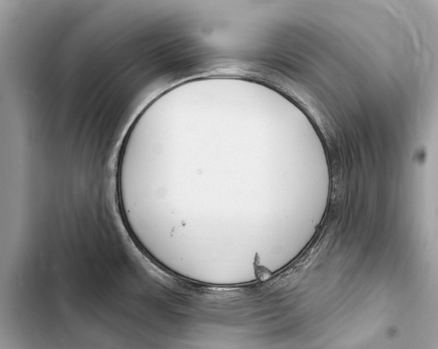 X0000103461483200810031447