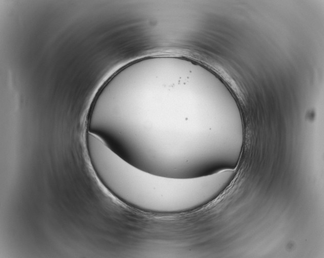 X0000103461484200810031447