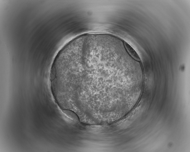 X0000103461485200810031447