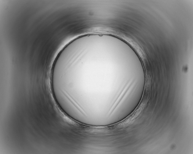 X0000103461486200810031447