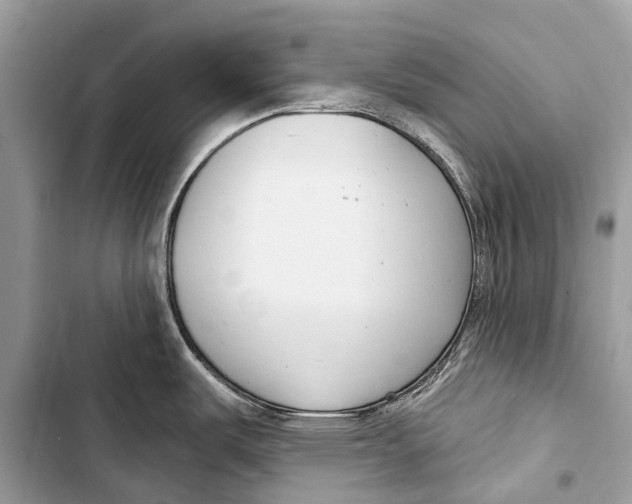 X0000103461487200810031447