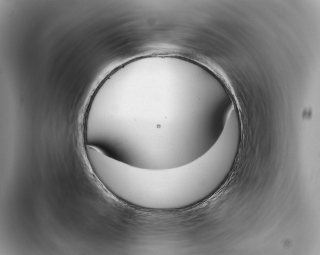 X0000103461488200810031447