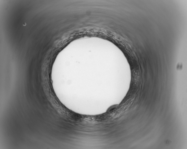 X0000103461489200810031446