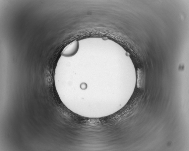 X0000103461491200810031446