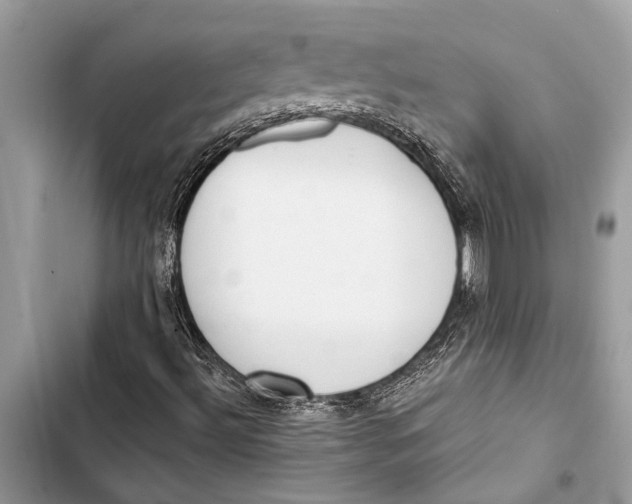 X0000103461492200810031446