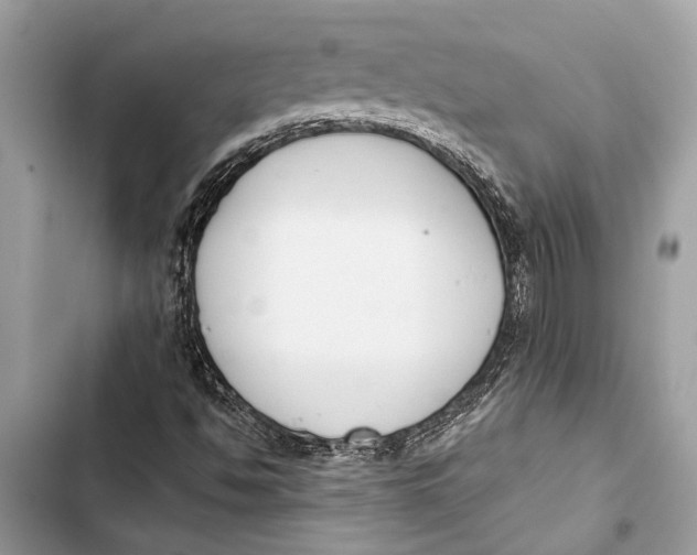 X0000103461494200810031446