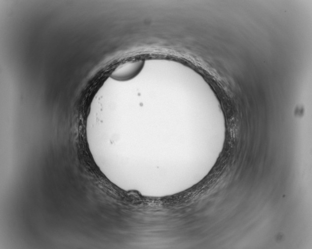 X0000103461495200810031446