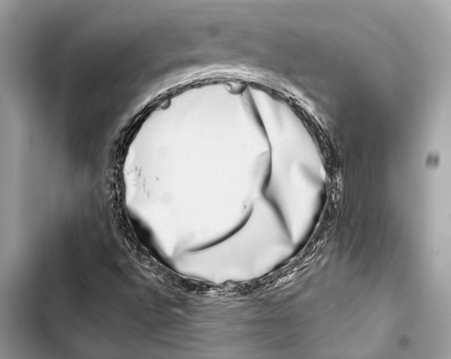 X0000103461496200810031446