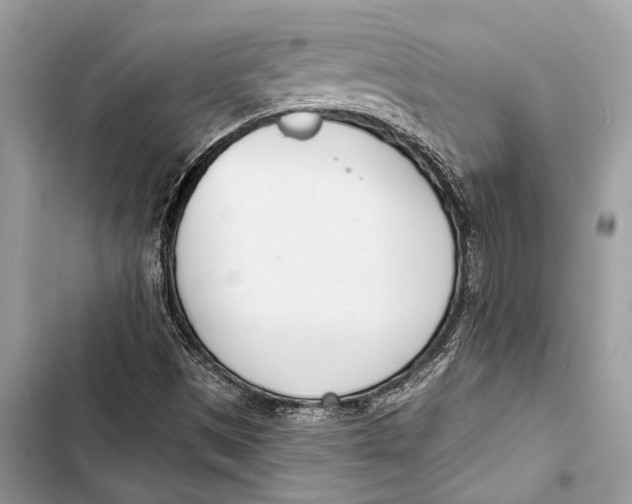 X0000103461497200810031446