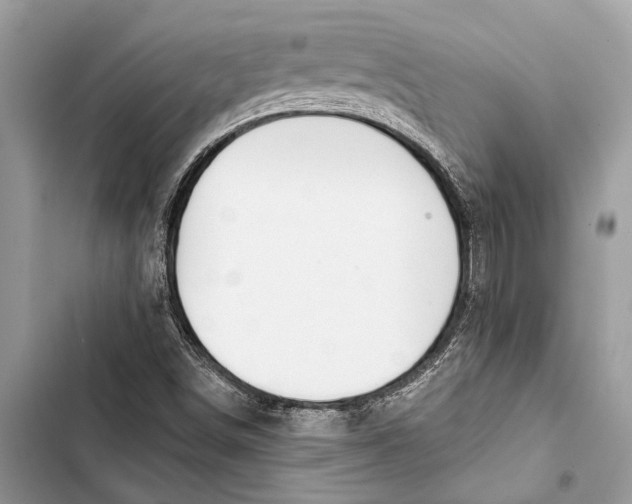 X0000103461498200810031446