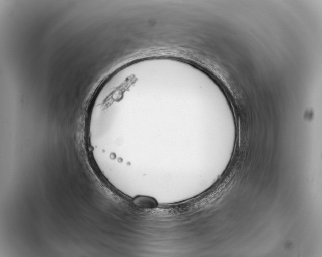 X0000103461500200810031446