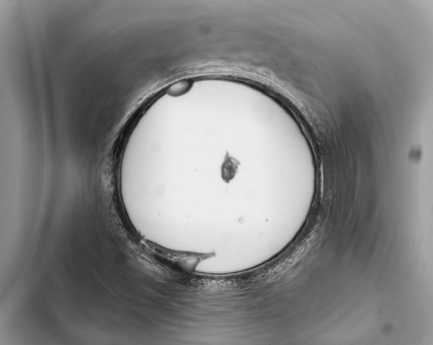 X0000103461501200810031446