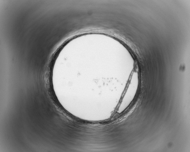 X0000103461502200810031446