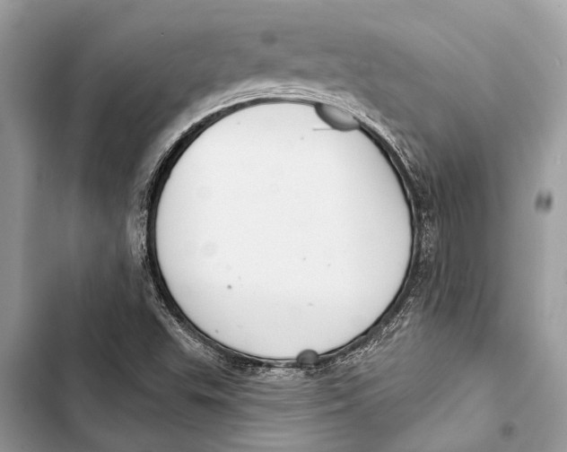 X0000103461503200810031446