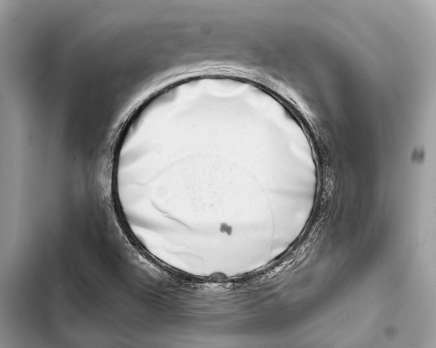 X0000103461504200810031446