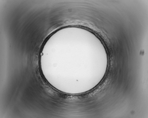 X0000103461505200810031446